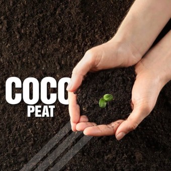 Coco Peat 5kg & 1kg Block